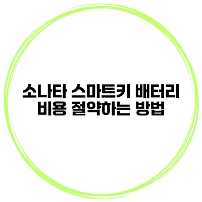 소나타 스마트키 배터리 비용 절약하는 방법
