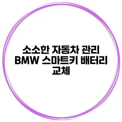소소한 자동차 관리 BMW 스마트키 배터리 교체