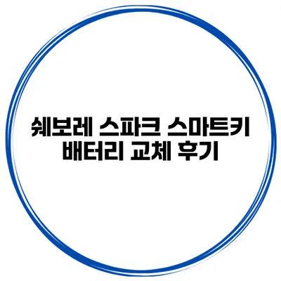 쉐보레 스파크 스마트키 배터리 교체 후기