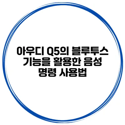아우디 Q5의 블루투스 기능을 활용한 음성 명령 사용법