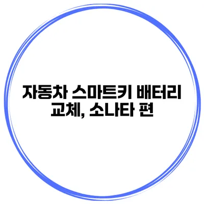 자동차 스마트키 배터리 교체, 소나타 편