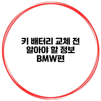 키 배터리 교체 전 알아야 할 정보 BMW편
